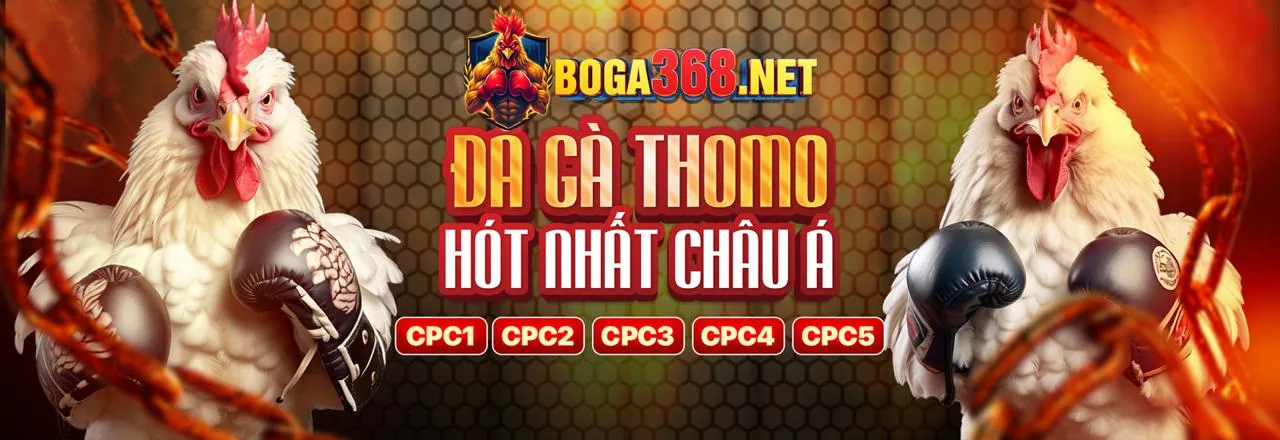 Các loại thưởng và ưu đãi từ WinVND Code